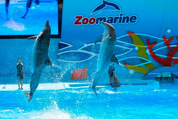 Transport Zoomarine Algarve